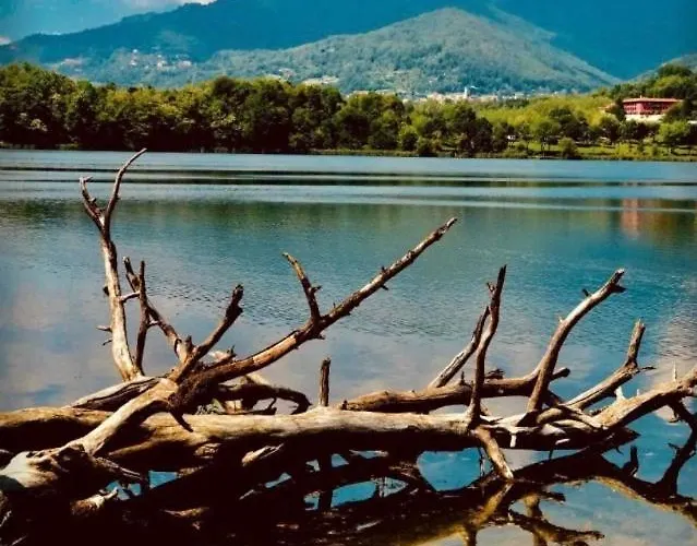 Casa Fata Melania-free Parking-self Check In Tavernerio